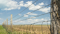 farm ranch