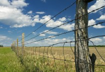 Agricultural