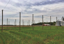 Agriculture Trellising