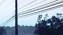 COMMS PLP NEW small image 210x119